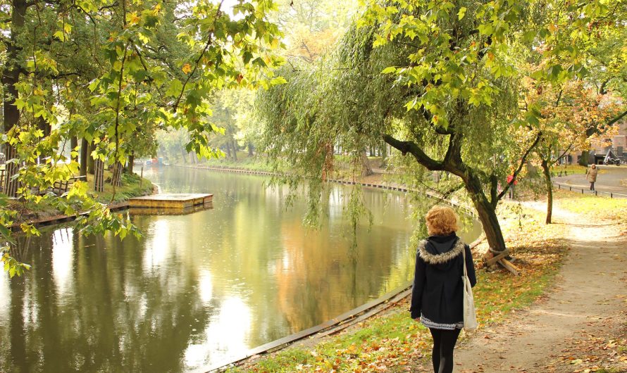 Embracing Autumn in Utrecht: Canals, Bridges, and Magical Wanders