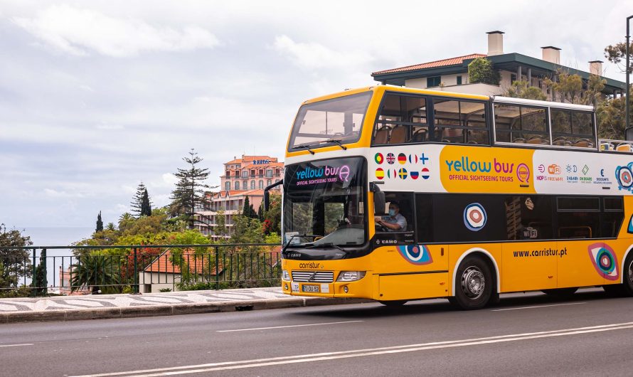 Public Transport in Madeira: How to Travel Like a Local