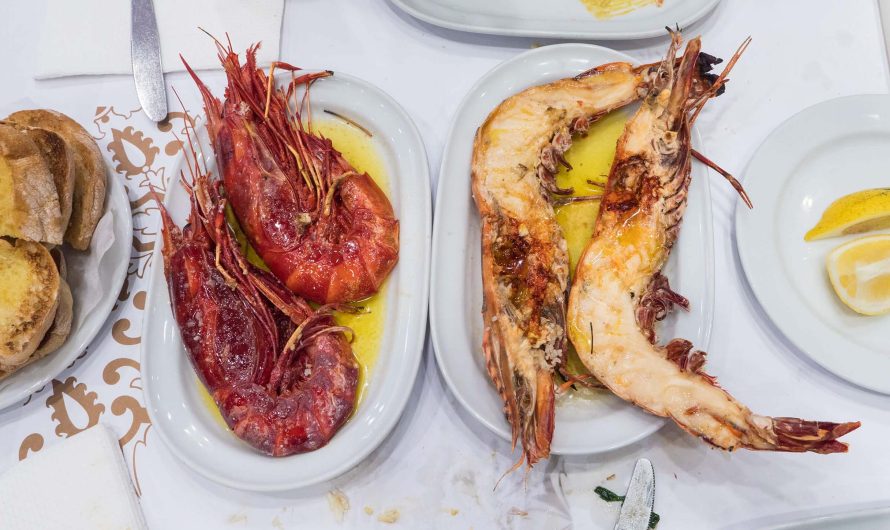 Where to Eat in Lisbon: Top Restaurants for Delicious Food