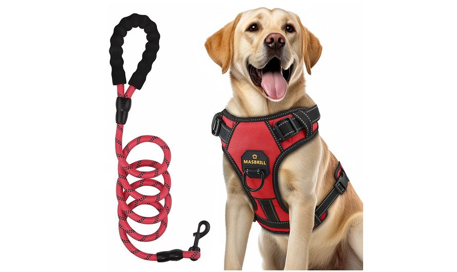 A Must-Read for Pet Owners! Tiendanimal Pet Product Recommendations to Enhance Your Furry Friend’s Quality of Life